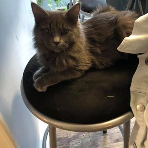 Meet your Posher, Barbara